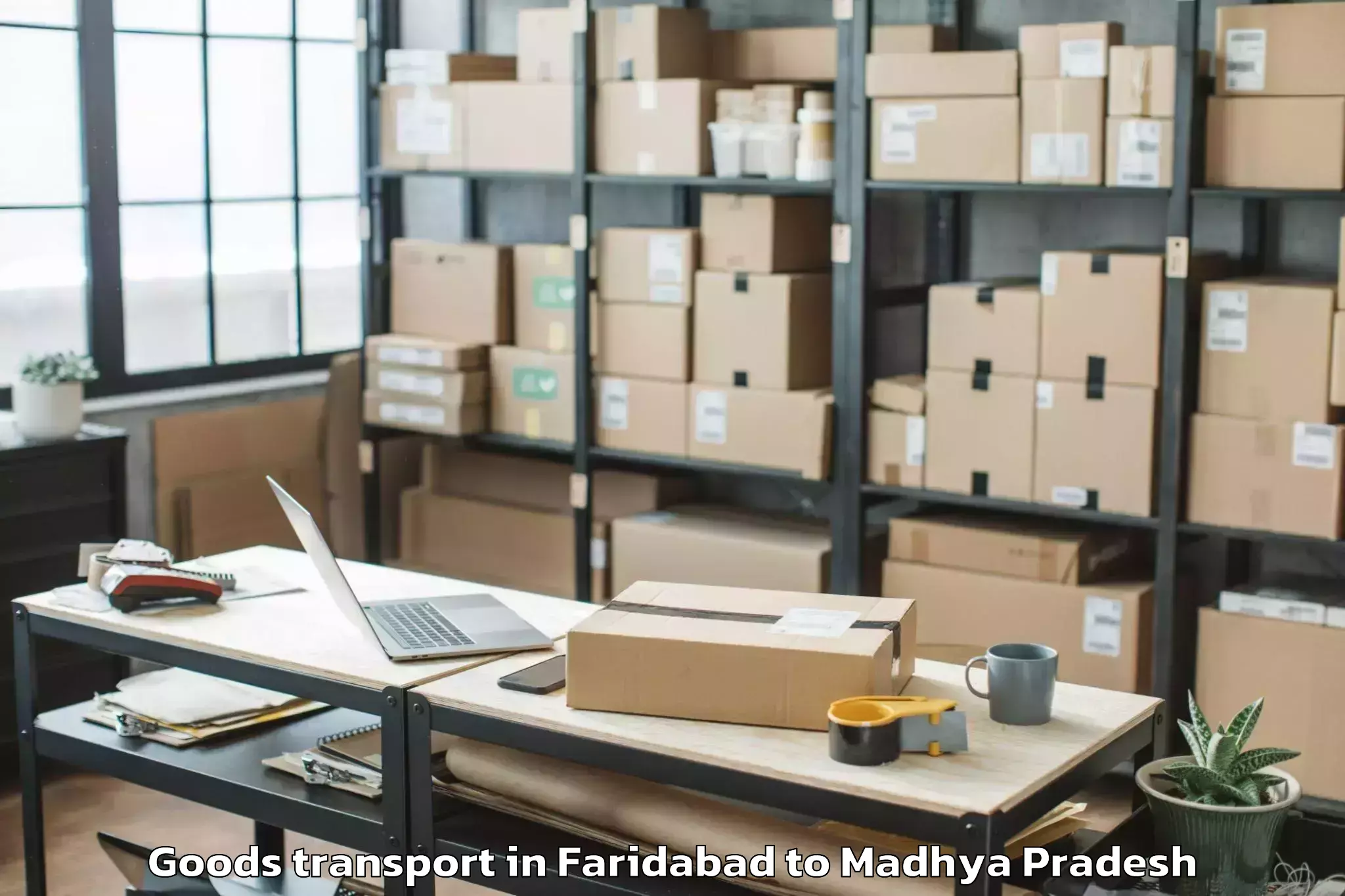 Reliable Faridabad to Abhilashi University Rewa Goods Transport